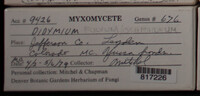 Image Associated With the Occurence
